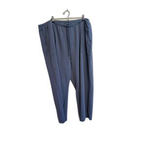A New Day Women's Pants Blue Size 3X